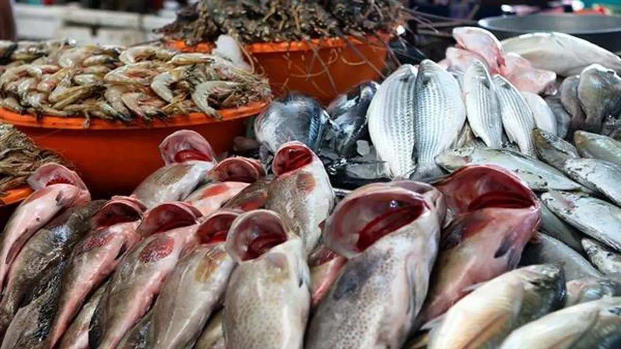 أسعار الأسماك في سوق العبور السبت 29-11-2025 تكشف التغيرات الجديدة